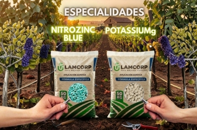 Especialidades